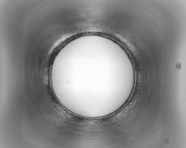 X0000093581262200711121052