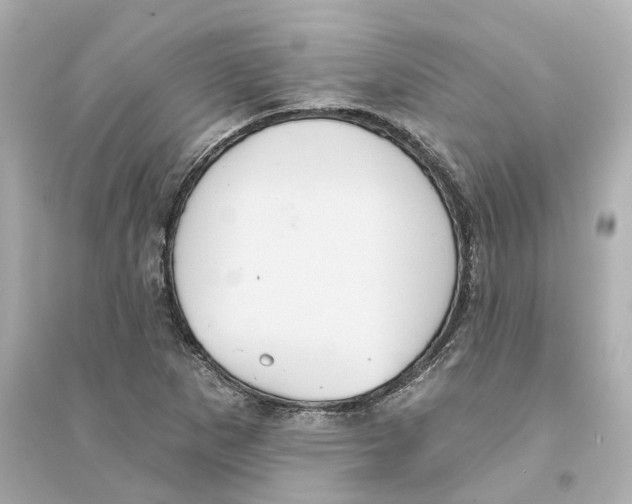 X0000093581265200711121052