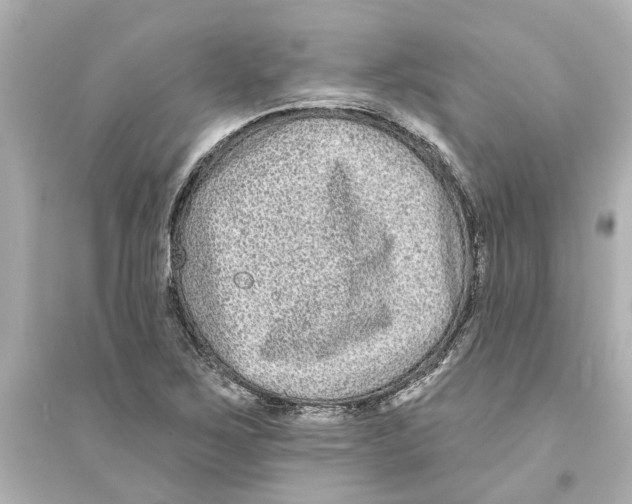 X0000093581267200711121052