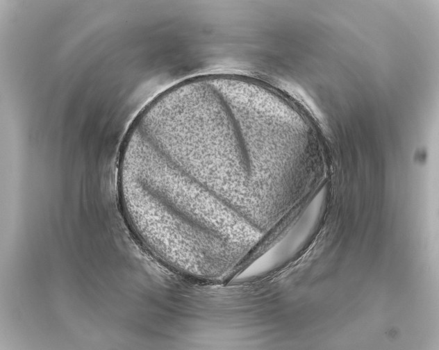 X0000093581268200711121052