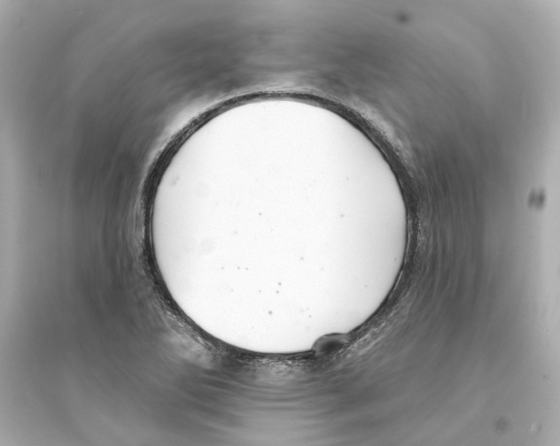 X0000093581270200711121052