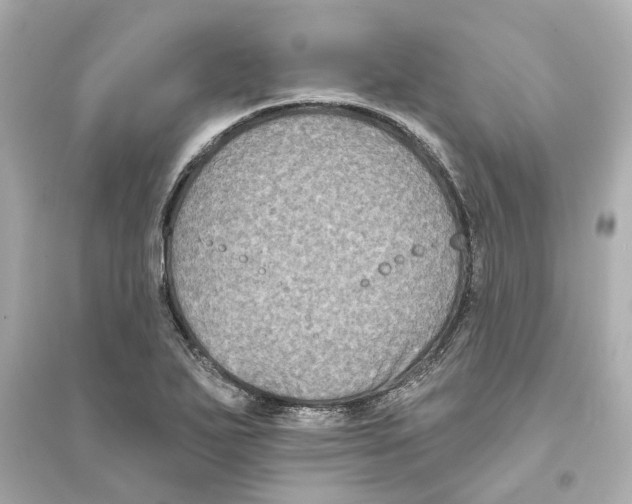 X0000093581271200711121052