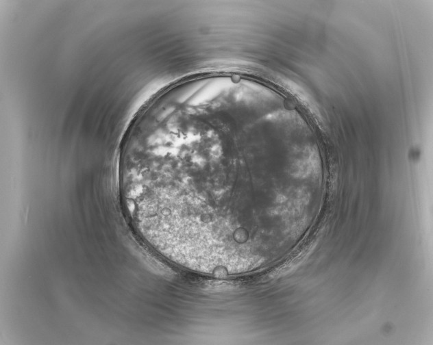 X0000093581275200711121052