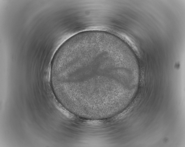 X0000093581276200711121052