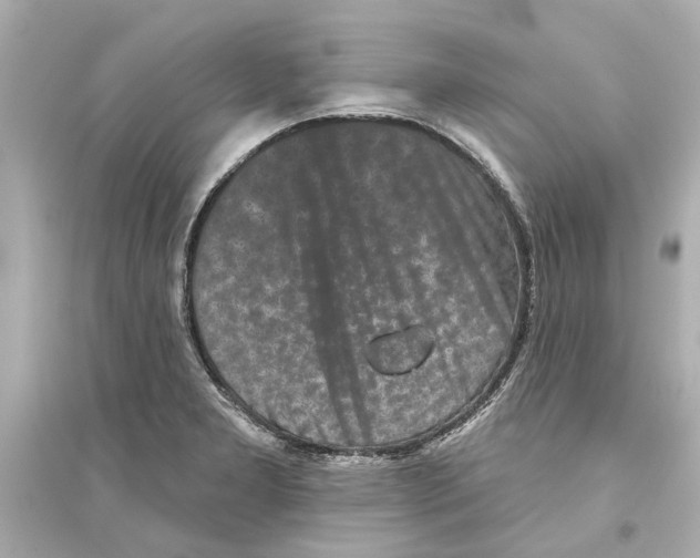 X0000093581277200711121052