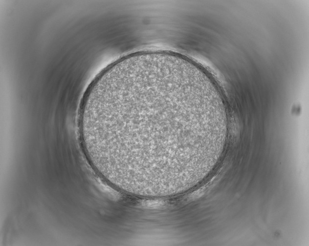 X0000093581278200711121052