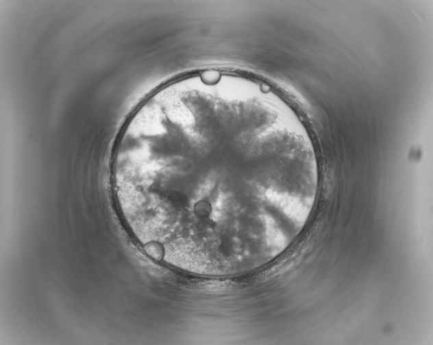 X0000093581279200711121052