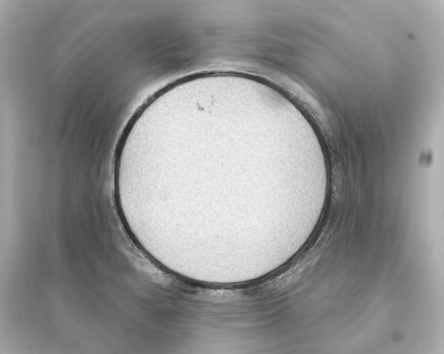 X0000093581280200711121052