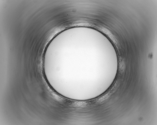 X0000093581282200711121052