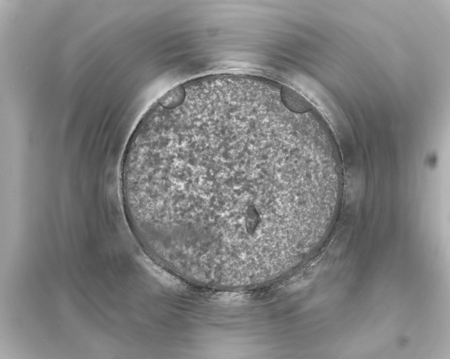 X0000093581283200711121052