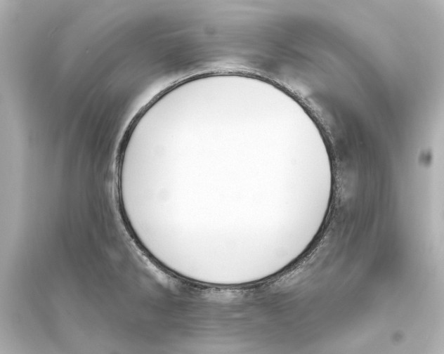 X0000093581286200711121052