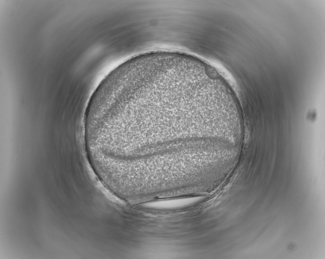 X0000093581287200711121052