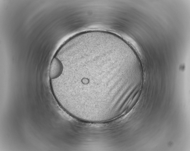 X0000093581288200711121052