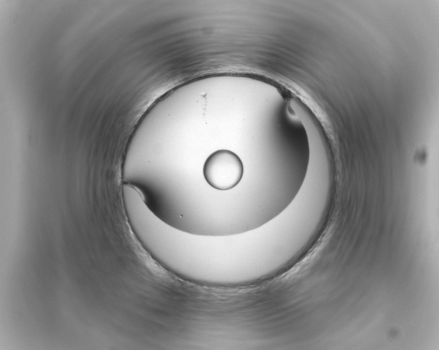 X0000093581289200711121052