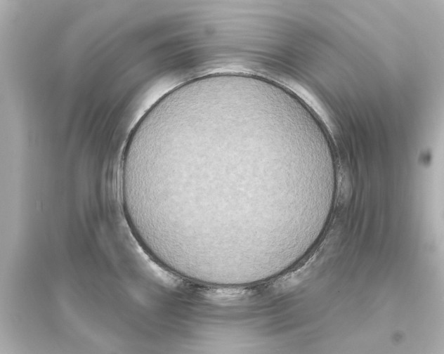 X0000093581290200711121052