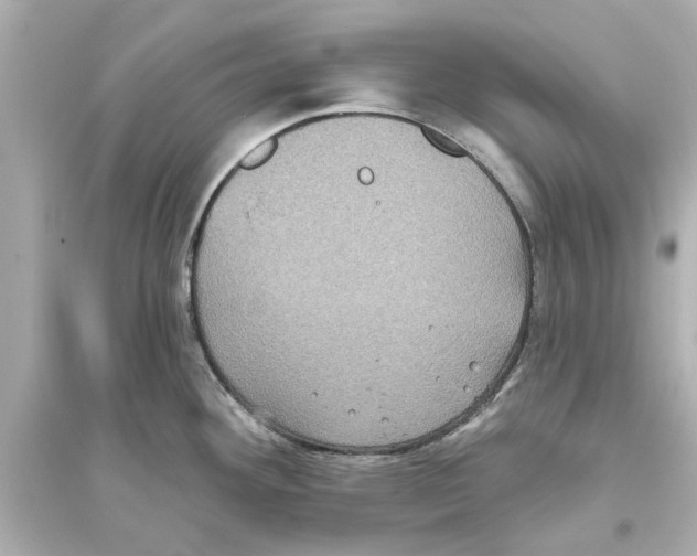 X0000093581292200711121052