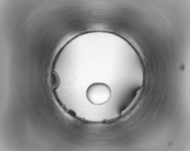 X0000093581293200711121052