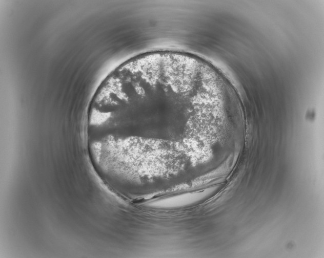 X0000093581295200711121052