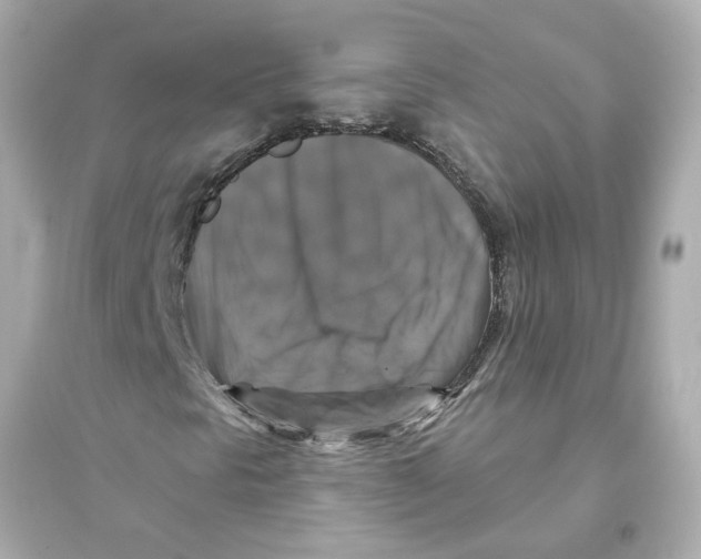 X0000093581297200711121051