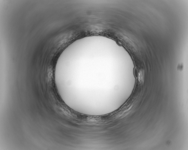 X0000093581299200711121051