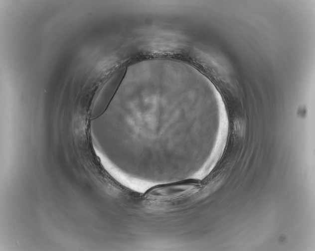 X0000093581300200711121051