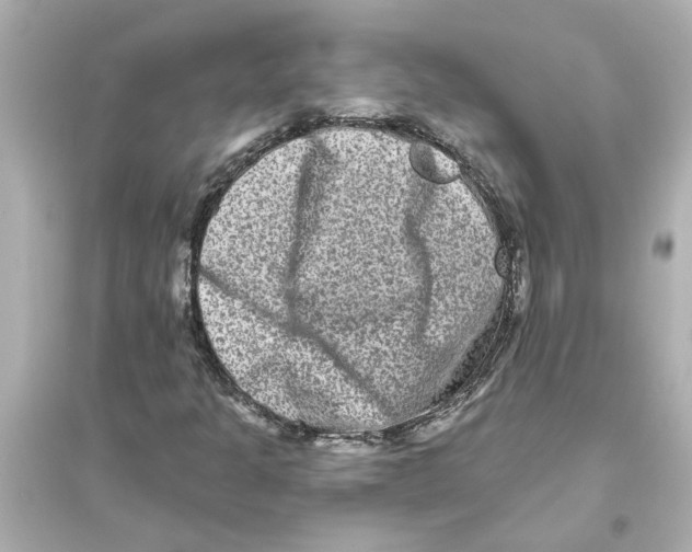 X0000093581301200711121051