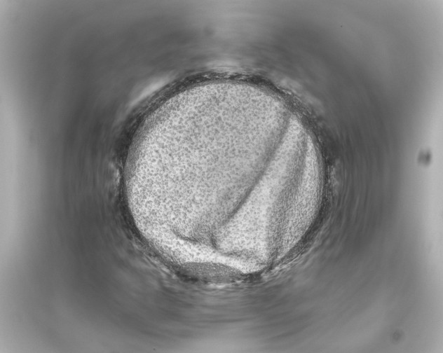 X0000093581302200711121051