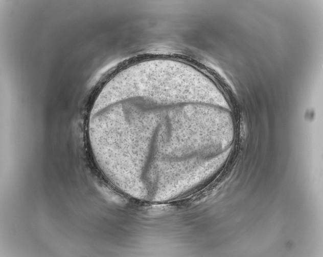 X0000093581304200711121051