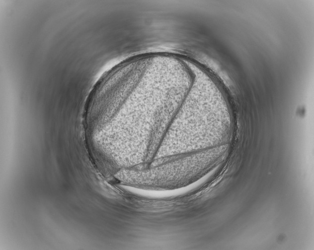 X0000093581308200711121051