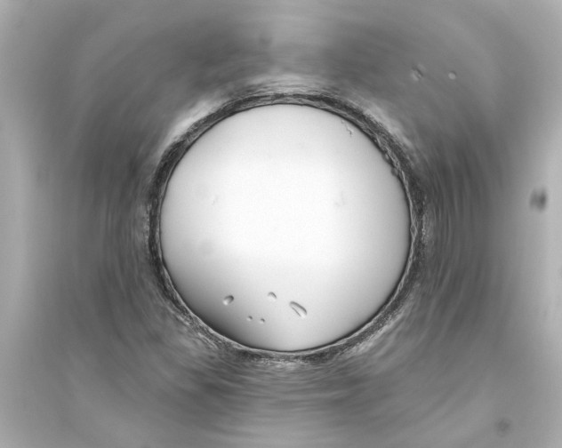 X0000093581309200711121051