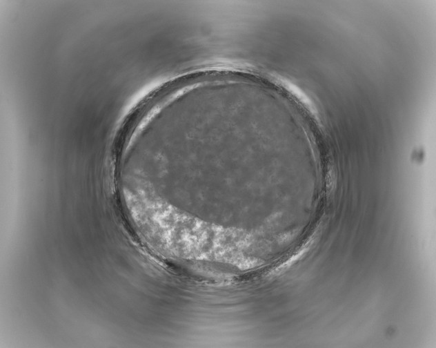 X0000093581310200711121051