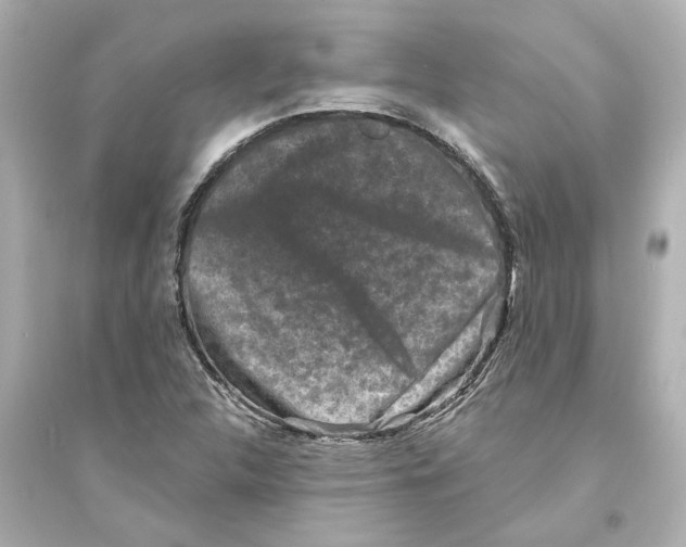 X0000093581312200711121051