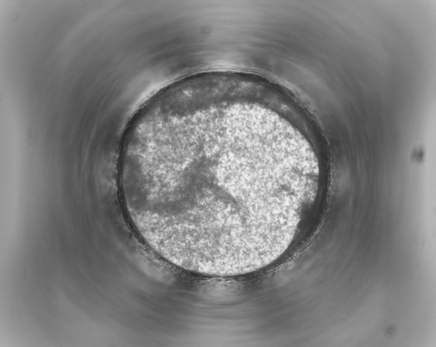 X0000093581314200711121051