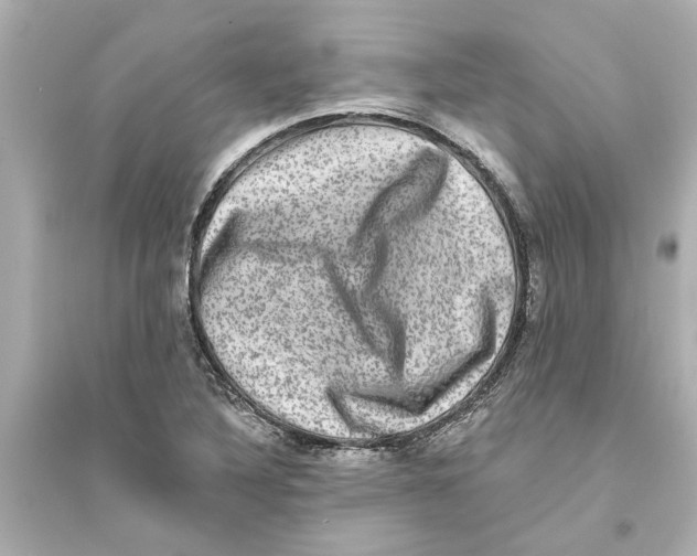 X0000093581316200711121051