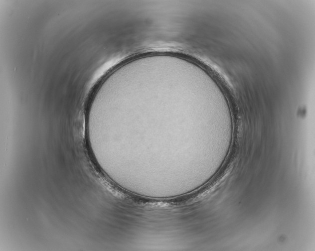 X0000093581317200711121051