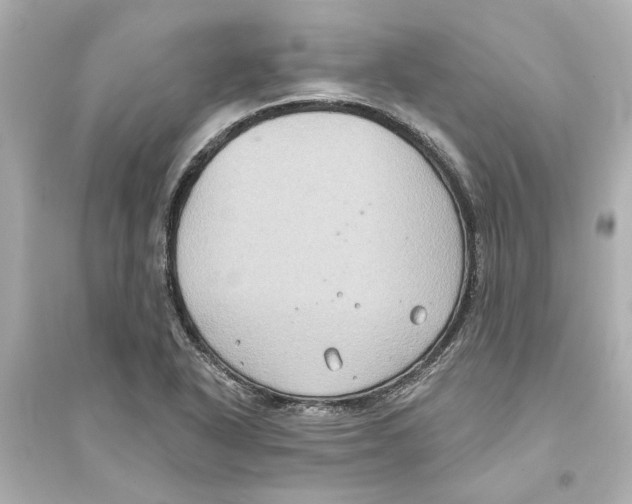 X0000093581318200711121051