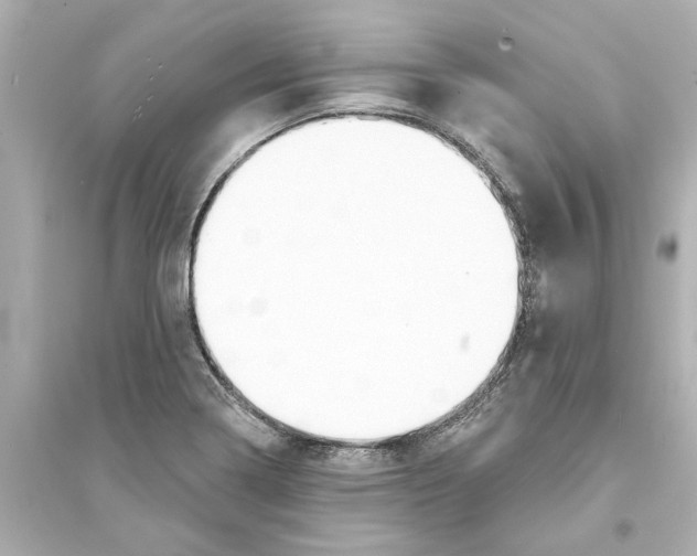 X0000093581322200711121051