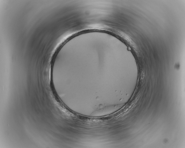 X0000093581323200711121051