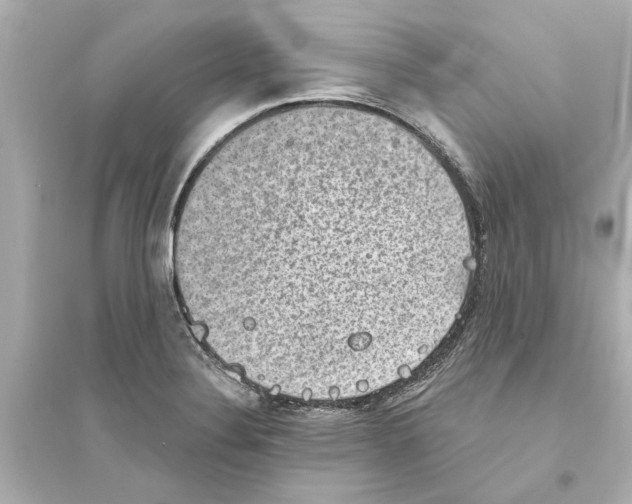 X0000093581324200711121051