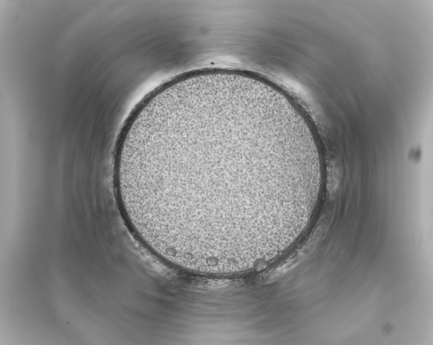 X0000093581326200711121051