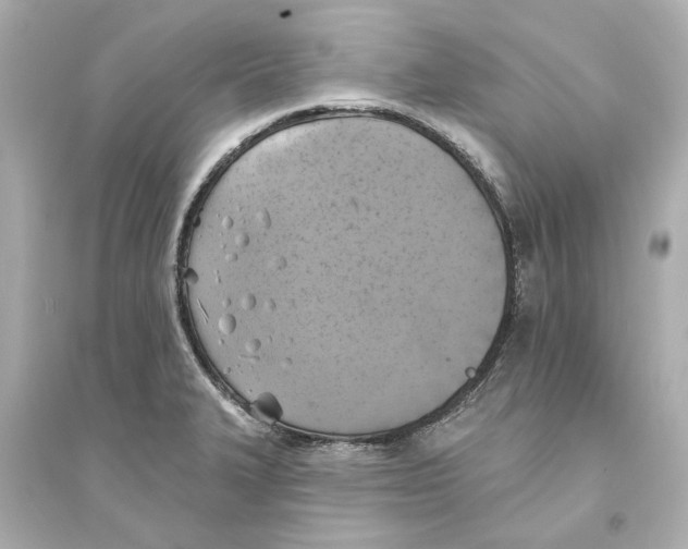 X0000093581327200711121052