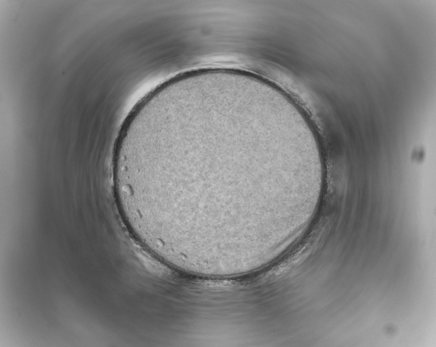 X0000093581328200711121052