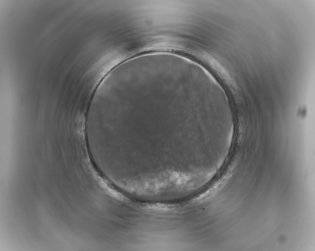 X0000093581329200711121052