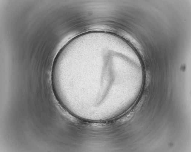 X0000093581330200711121052