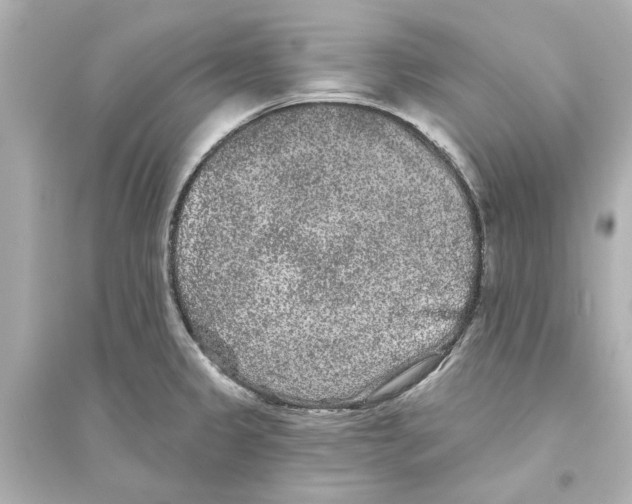 X0000093581333200711121052