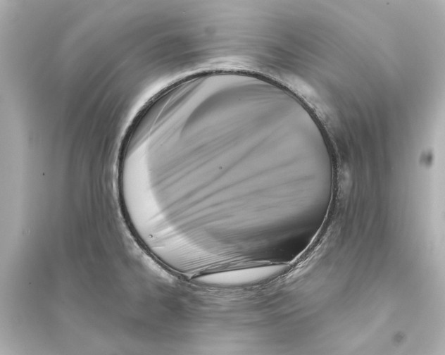 X0000093581334200711121052