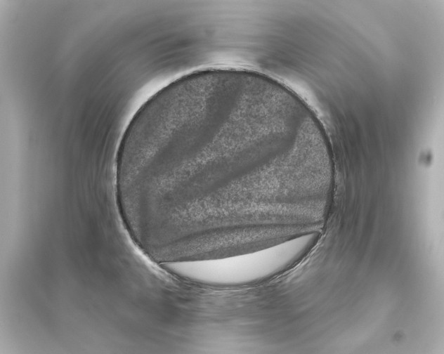 X0000093581335200711121052