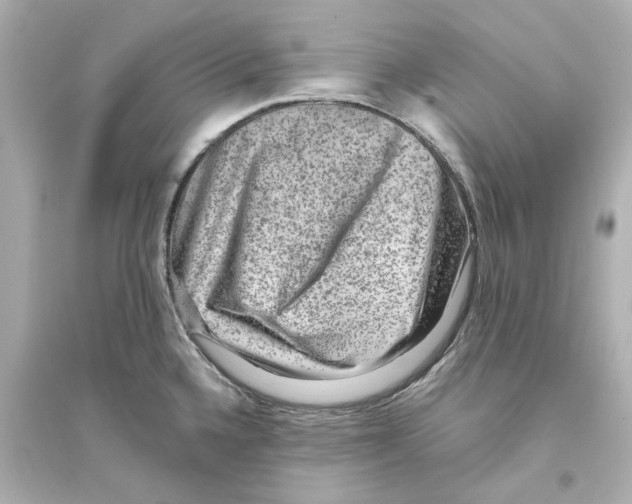 X0000093581336200711121052