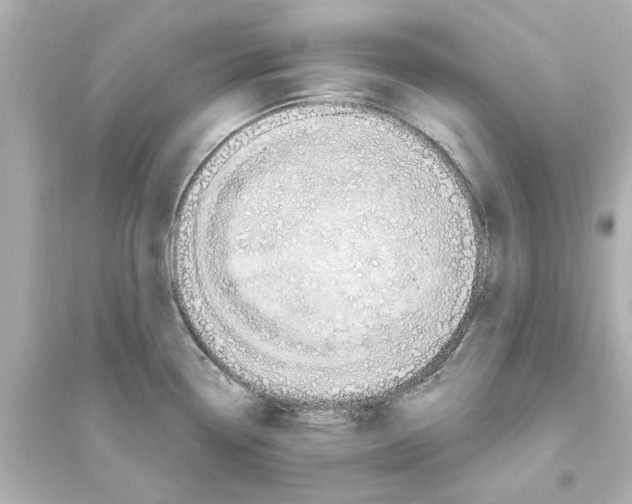 X0000093581338200711121052