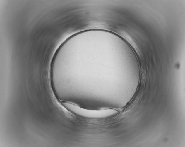 X0000093581339200711121052